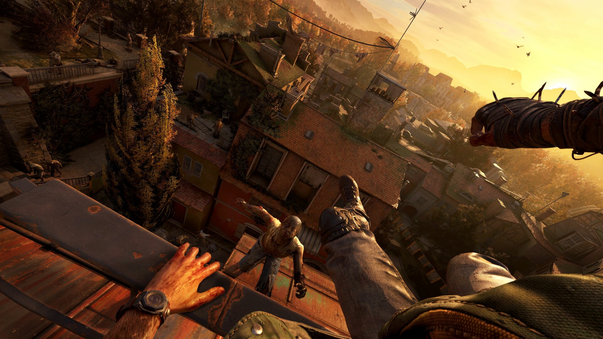 消逝的光芒：困兽/Dying Light: The Beast/支持网络联机