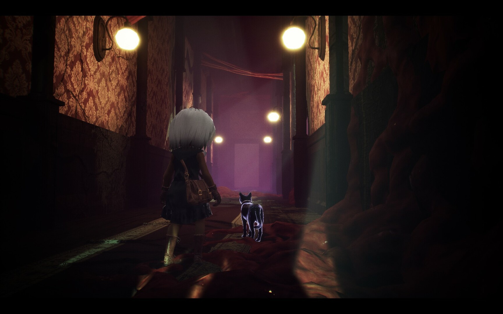 1650771396847058.jpg 光:黑猫与失忆症女孩/LIGHT:Black Cat & Amnesia Girl