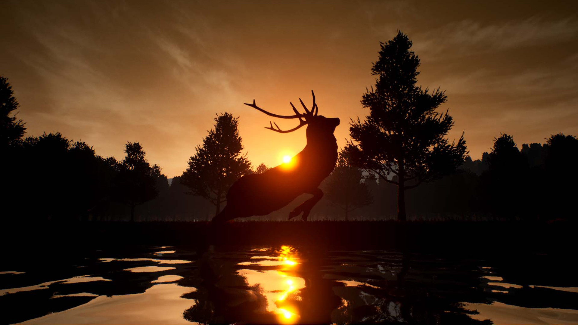 1658635337321708.jpg 鹿之旅/Deer Journey