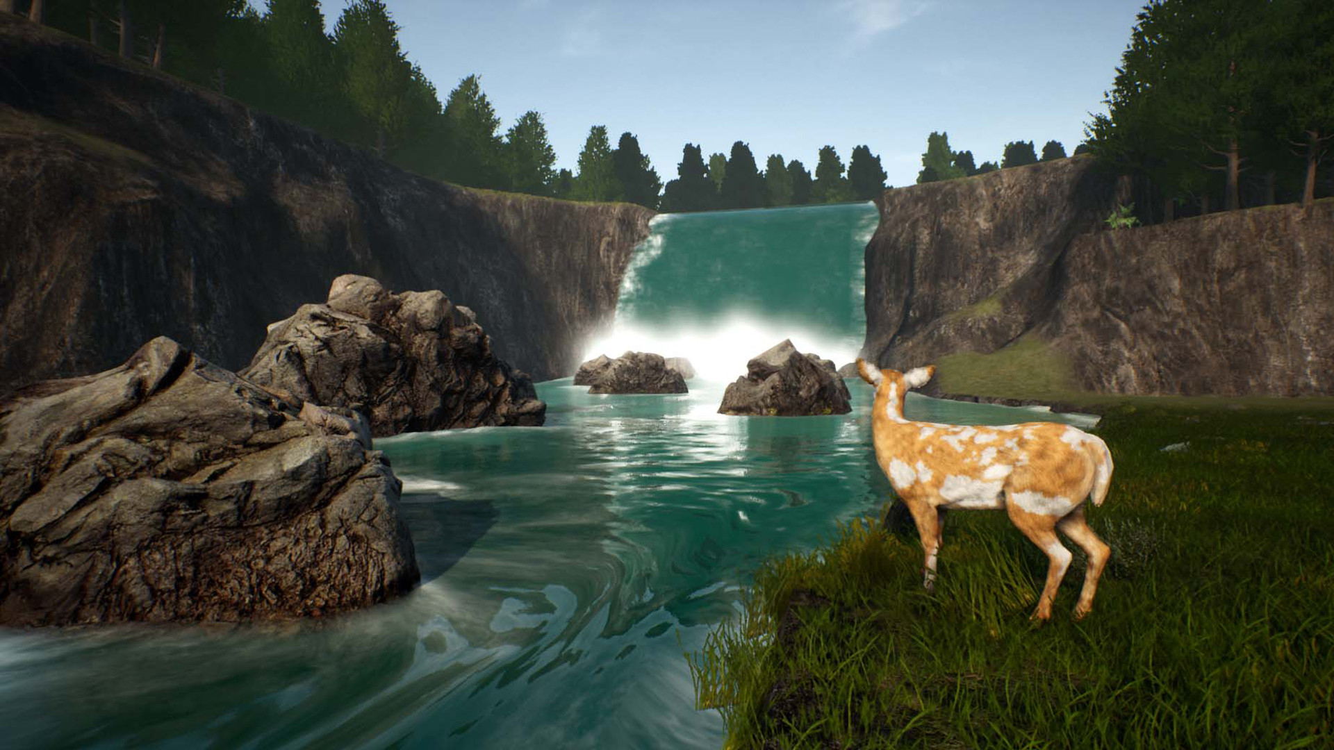 1658635338462599.jpg 鹿之旅/Deer Journey