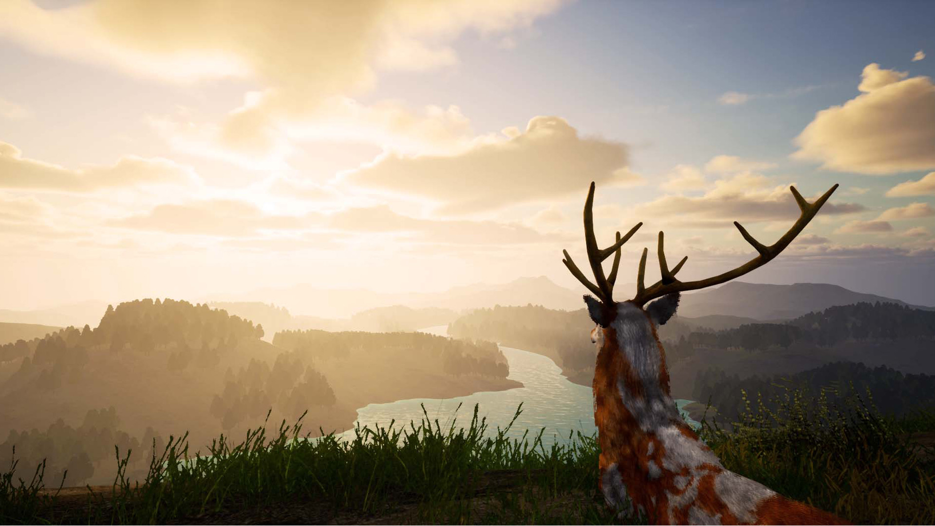 1658635338949660.jpg 鹿之旅/Deer Journey