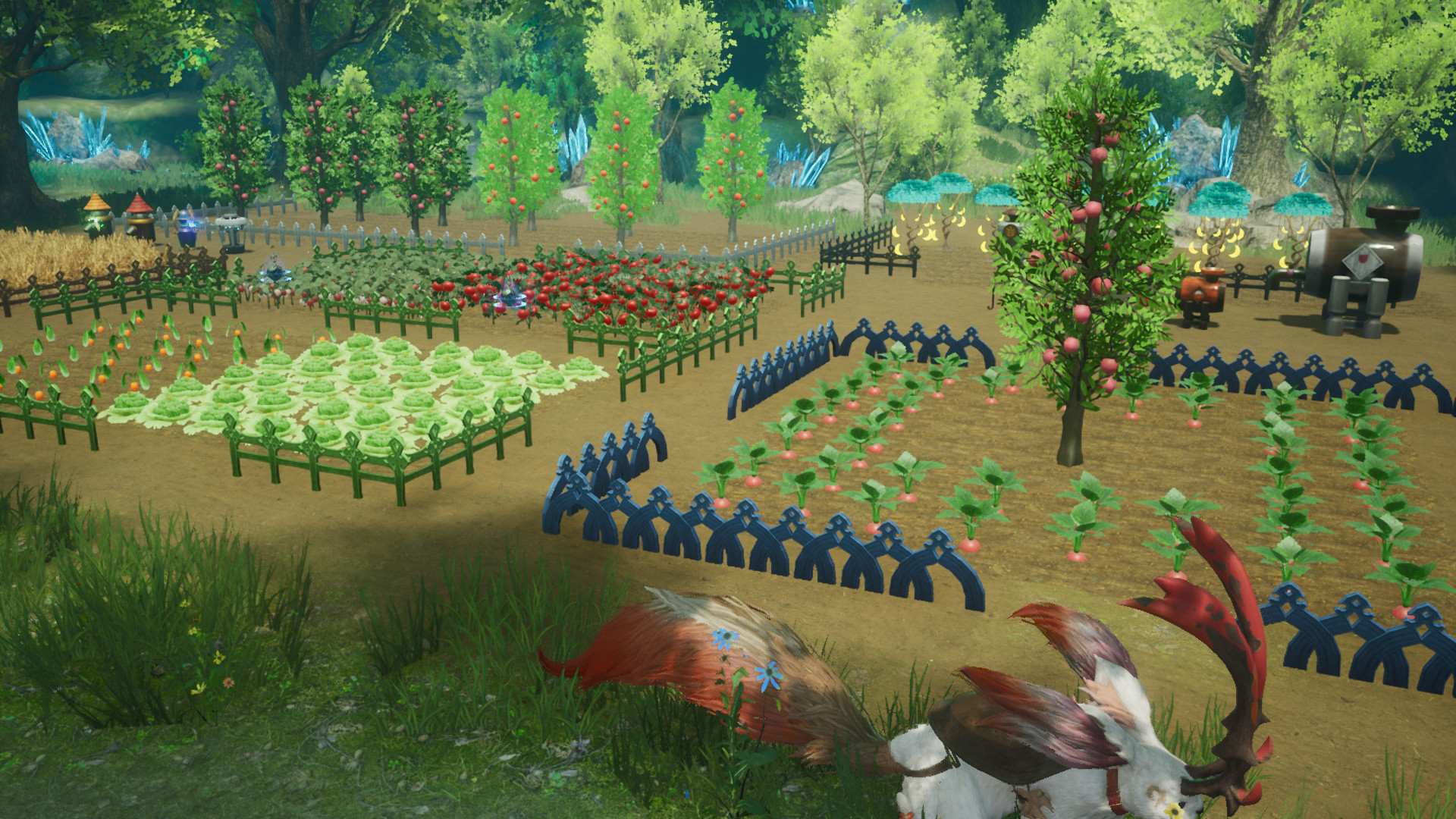 1667661383305331.jpg HARVESTELLA