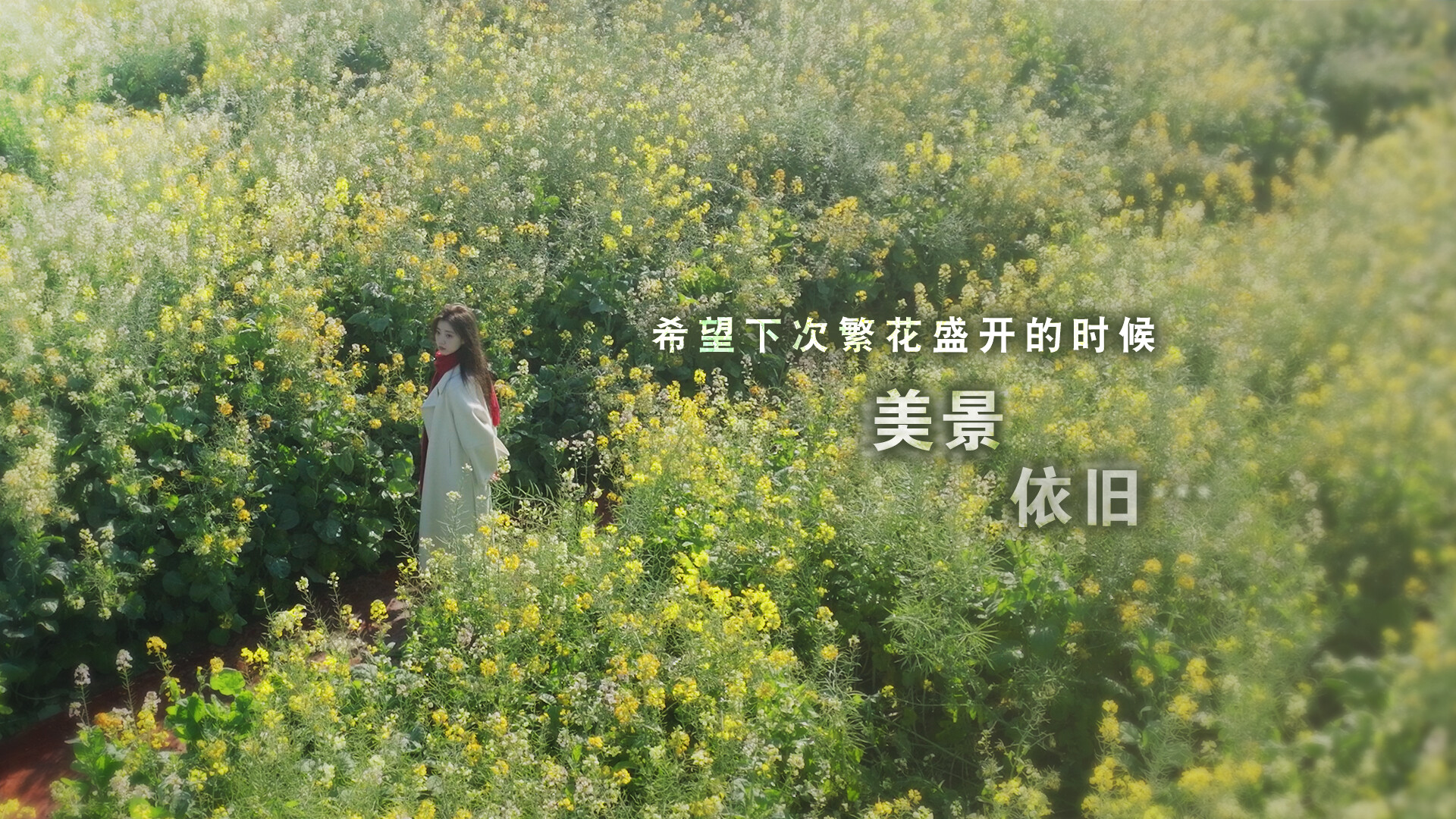 这个是真的喜欢!/I've Fallen For You!