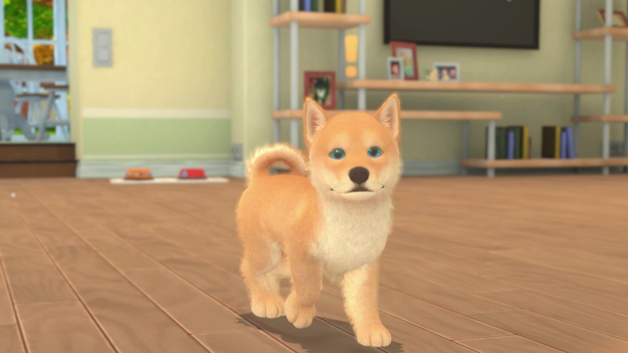 1646382551910919.jpg 我的世界:小狗和小猫/My Universe - Puppies & Kittens