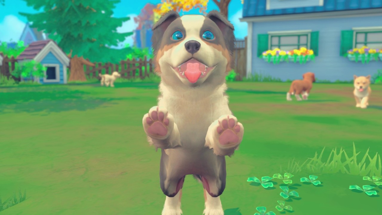 1646382551839334.jpg 我的世界:小狗和小猫/My Universe - Puppies & Kittens
