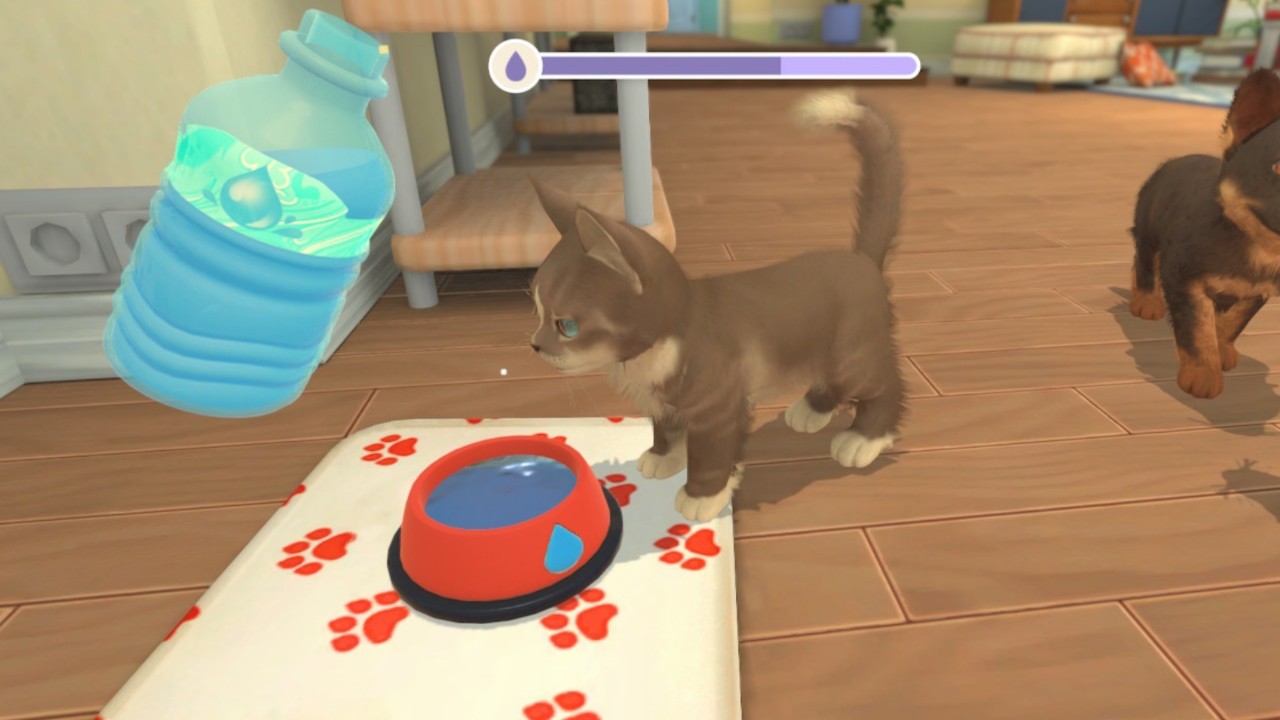 1646382551844889.jpg 我的世界:小狗和小猫/My Universe - Puppies & Kittens