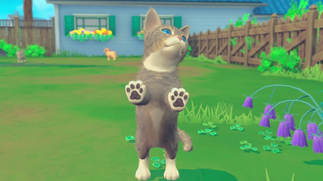 1646382551660512.jpg 我的世界:小狗和小猫/My Universe - Puppies & Kittens